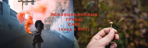 крисы Сосновоборск