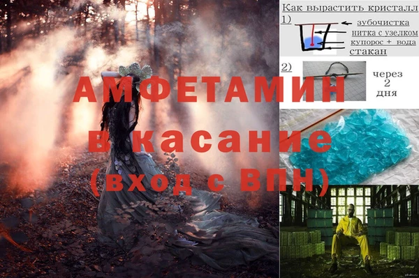 крисы Сосновоборск