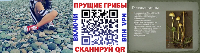Псилоцибиновые грибы прущие грибы  MEGA ТОР  Заринск 