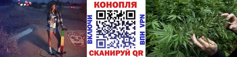 Канабис планчик  где найти наркотики  Заринск 